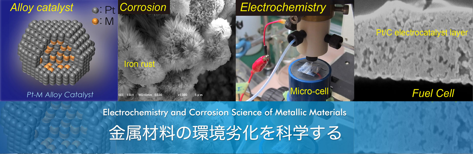 Electrochemistry and Corrosion Science of Metallic Materials